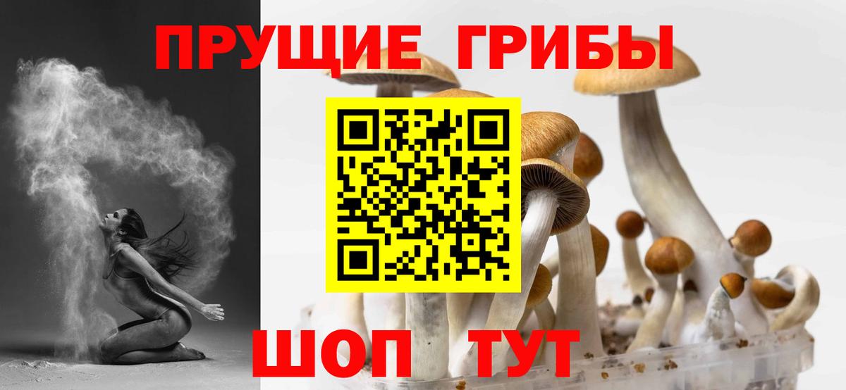 купить   Вход с VPN  Удомля  Псилоцибиновые грибы прущие грибы 